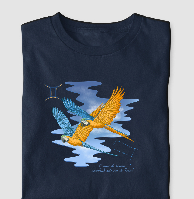 Gêmeos pelo céu do Brasil