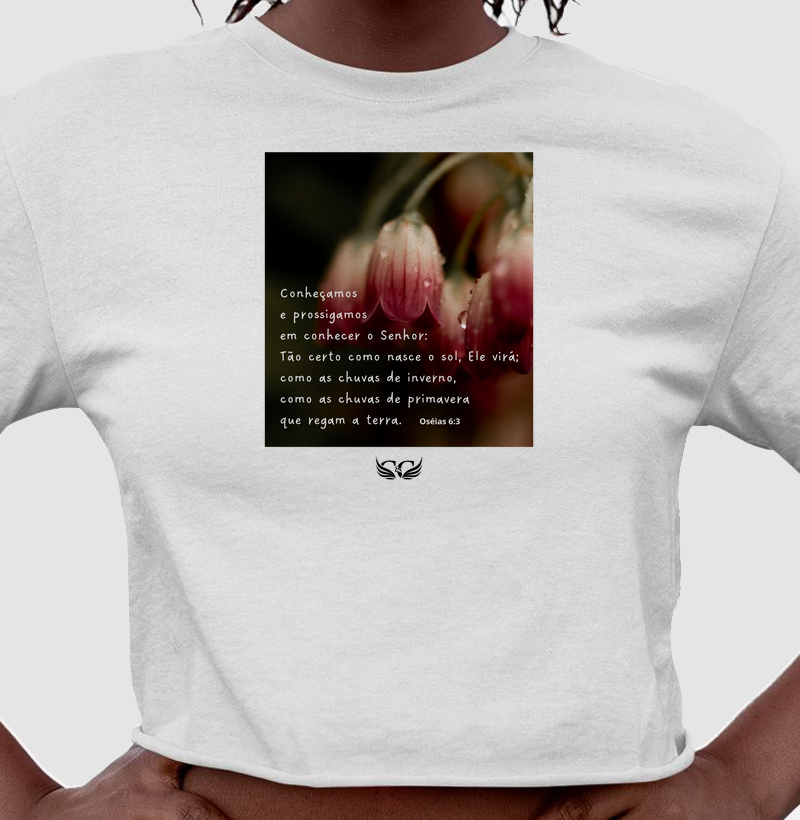 Cropped Conheçamos e Prossigamos em Conhecer ao Senhor. Oséias 6.3.