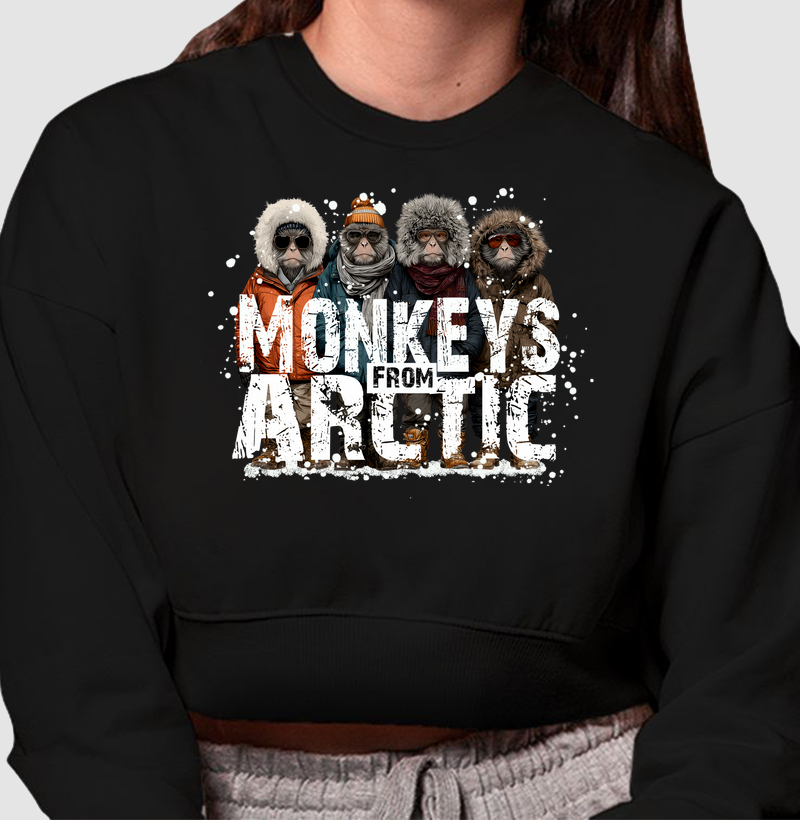 Monkeys from Arctic B