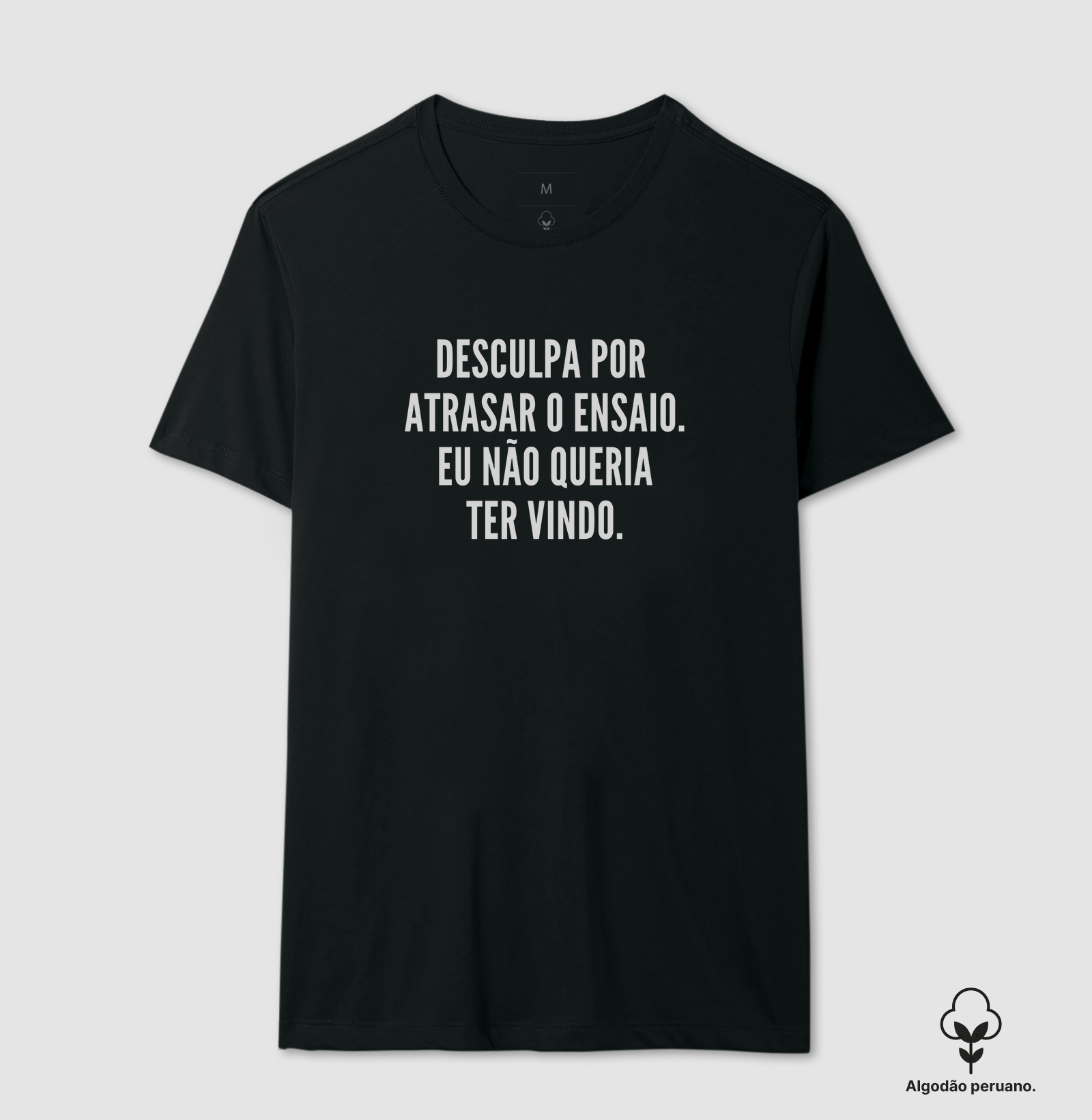 DESCULPA POR ATRASAR O ENSAIO. EU NÃO QUERIA TER VINDO.