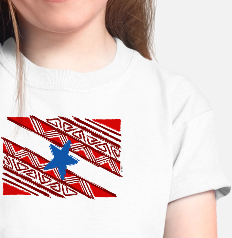 Bandeira do Pará Grafismo