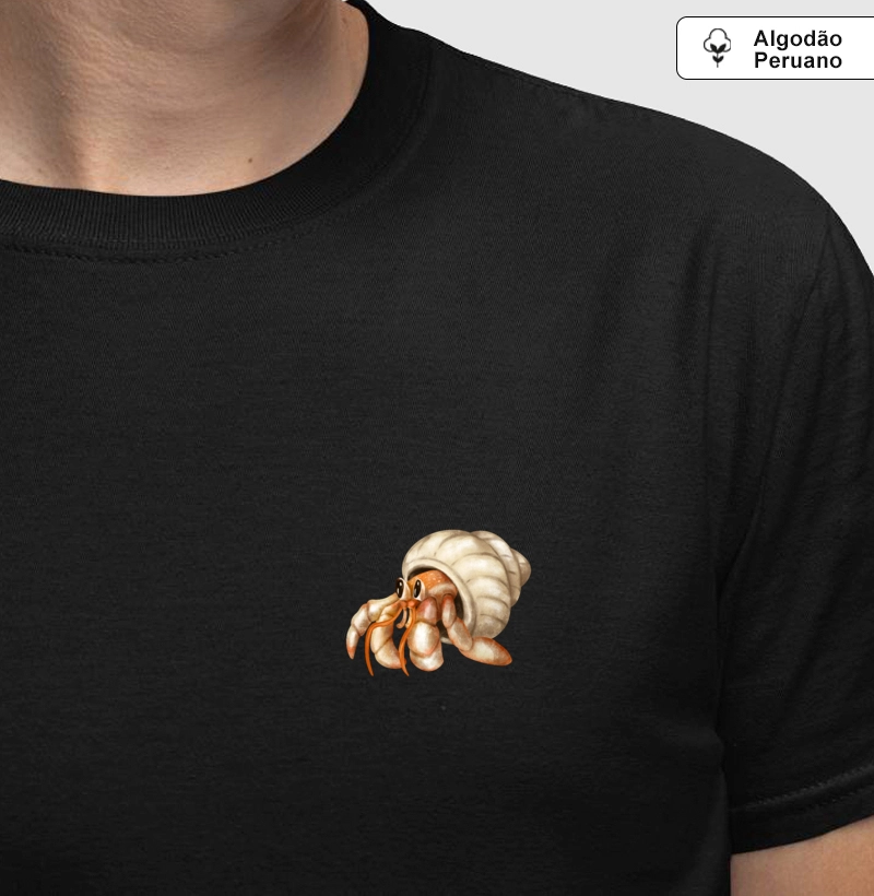 Hermit crab