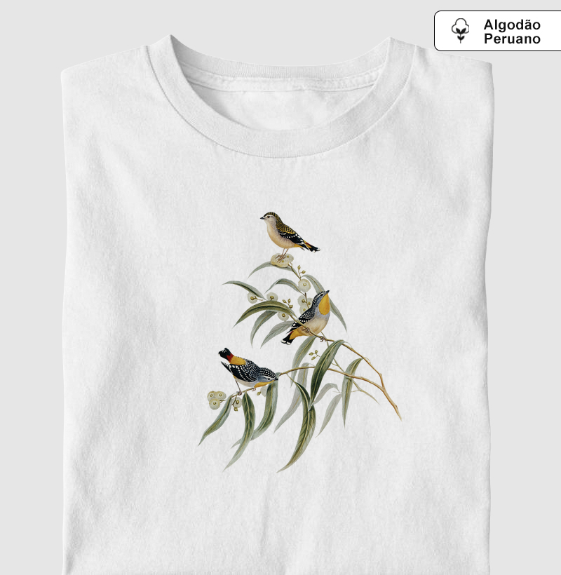 Yellow-rumped Pardalote