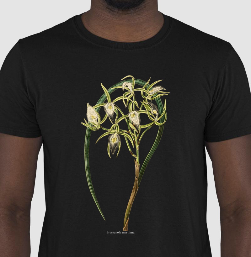 Camiseta Brassavola martiana