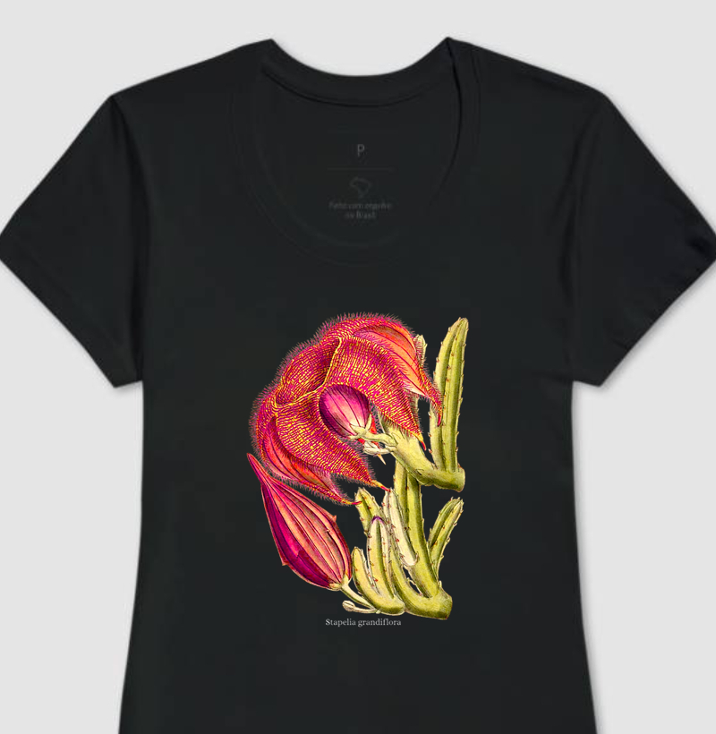 Camiseta Feminina Stapelia grandiflora