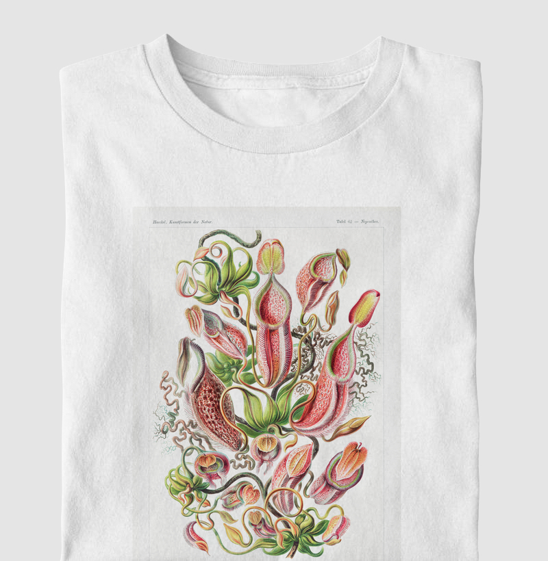 Nepenthaceae