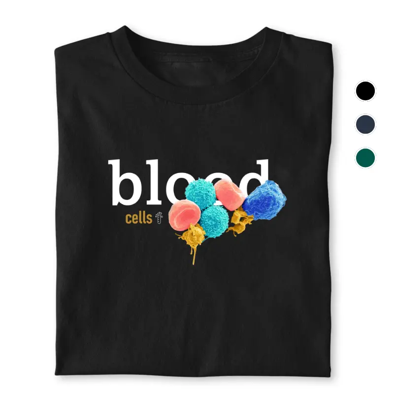 Blood