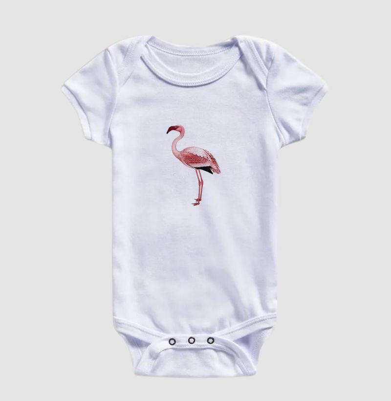 Lesser Flamingo