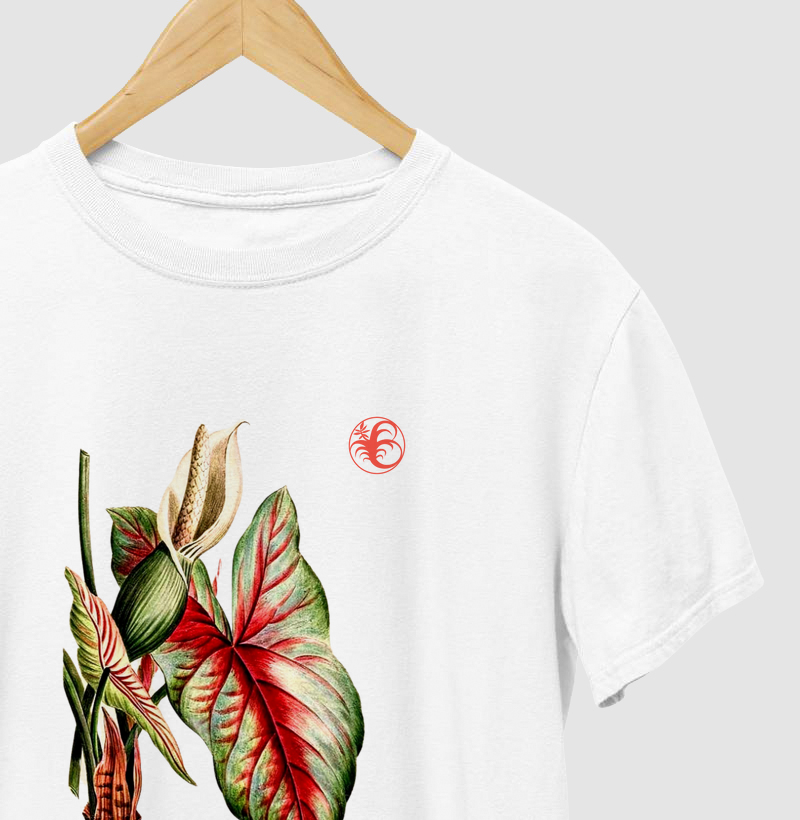 CALADIUM 8