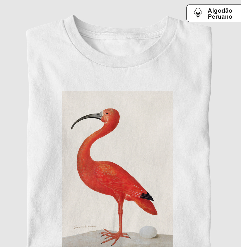 Scarlet Ibis