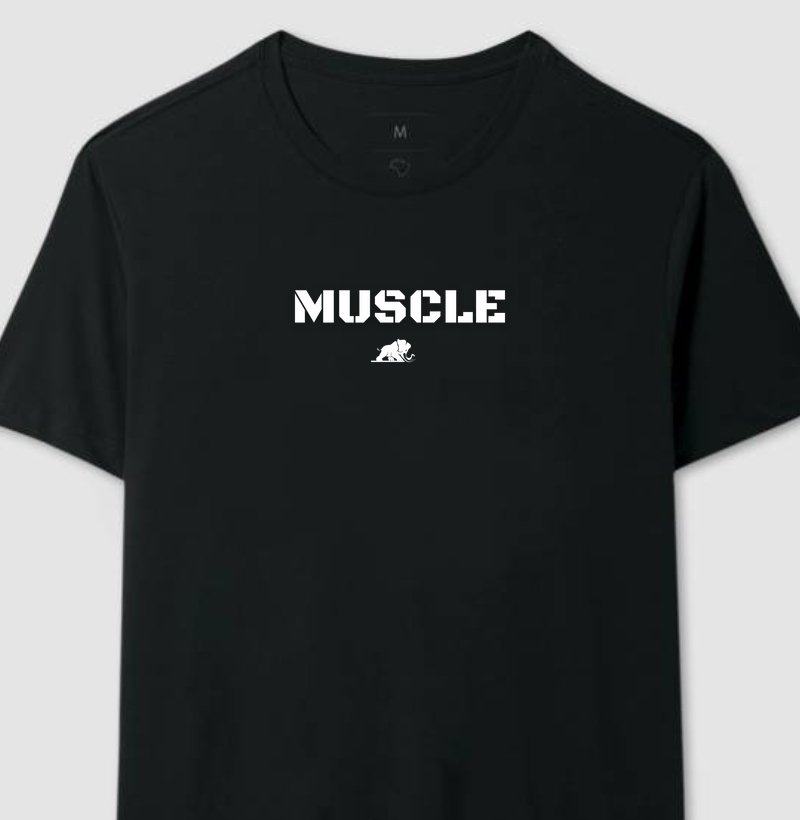 Muscle 2