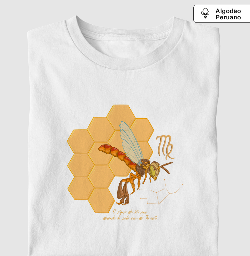 Virgem pelo céu do Brasil