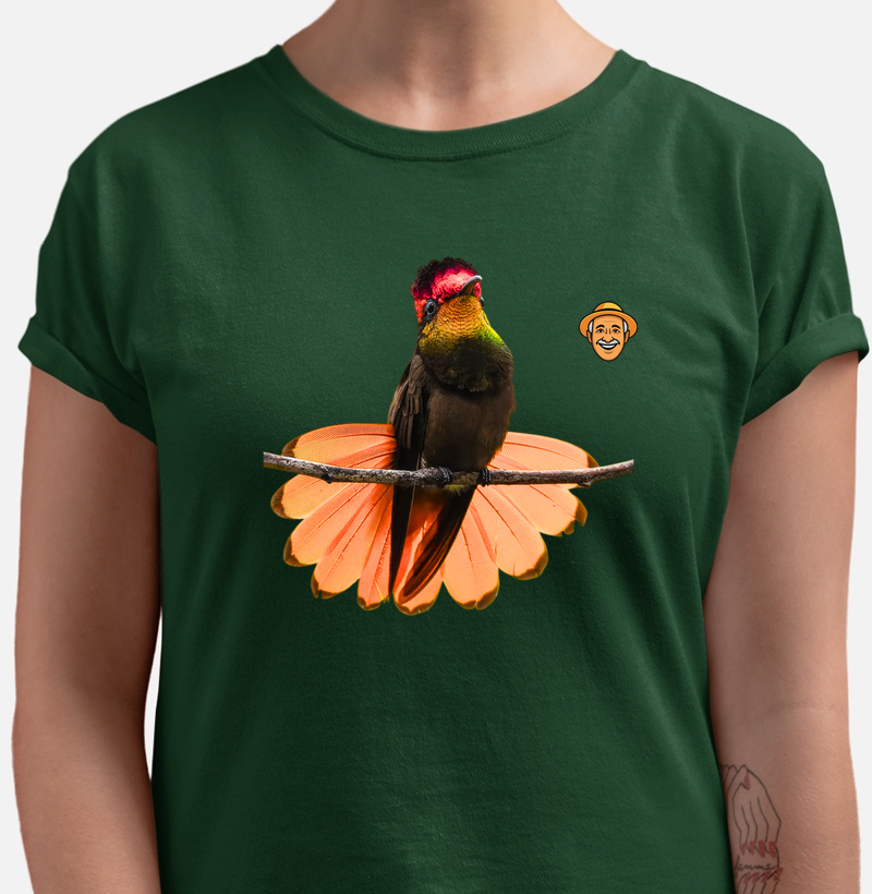 Beija-flor-de-topete-vermelho