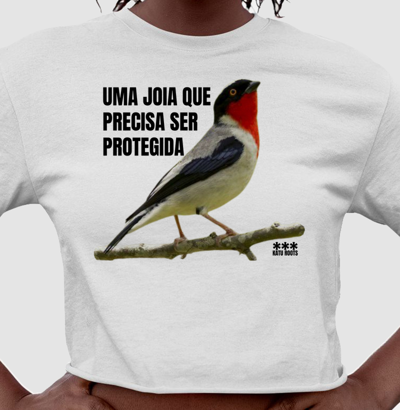 SAÍRA APUNHALADA 
