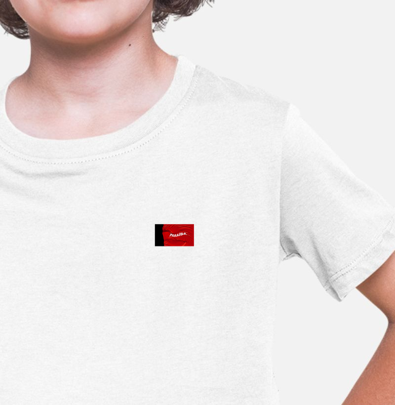 Bandeira da Paraíba estilizada