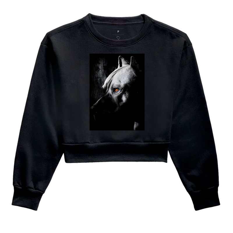 PITTIE OLHAR DE ÂMBAR