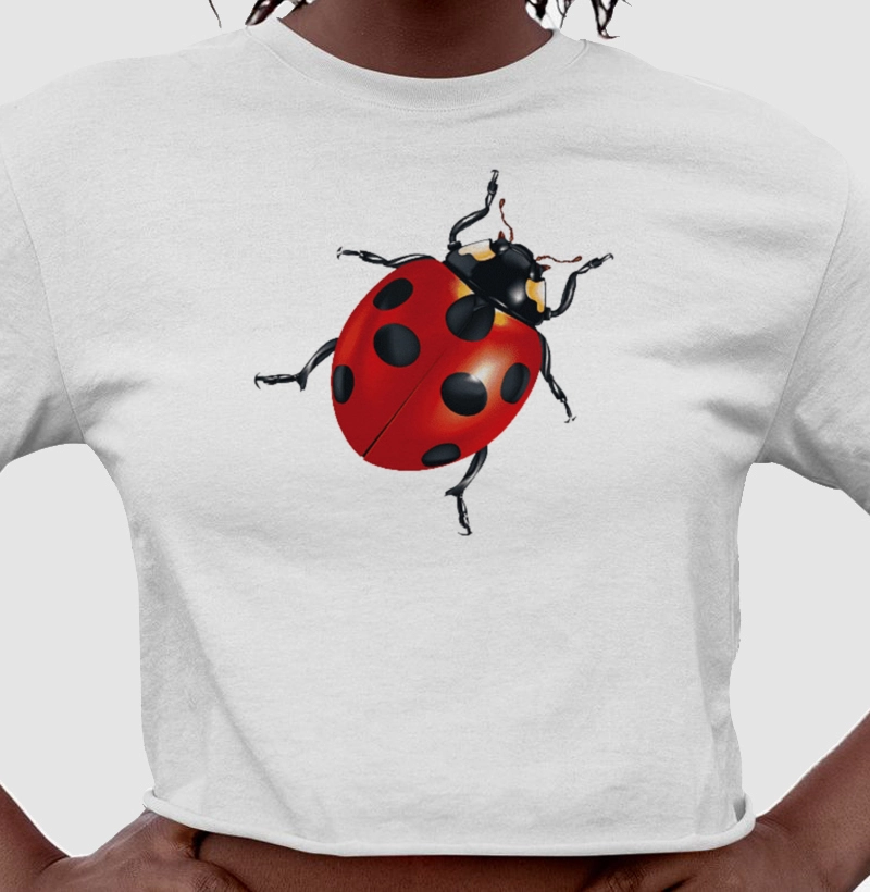 ladybug