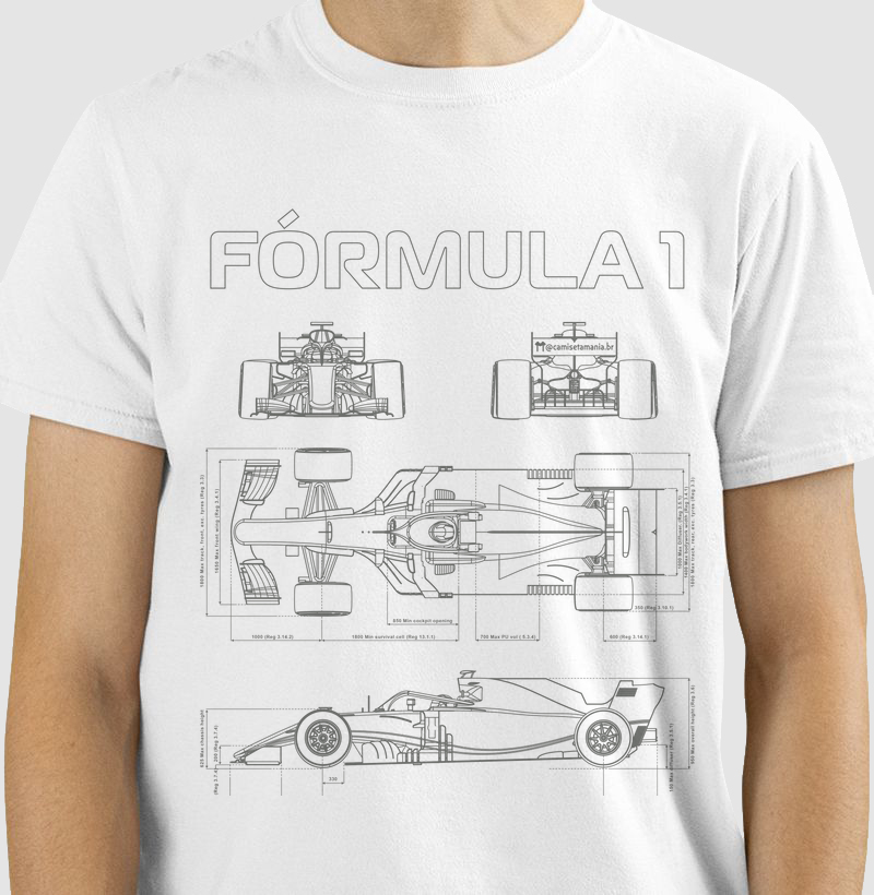 MEDIDAS de um F1