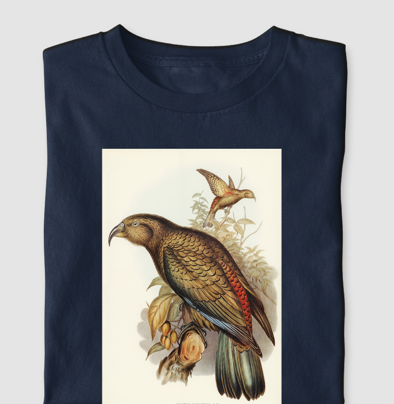 Kea Parrot