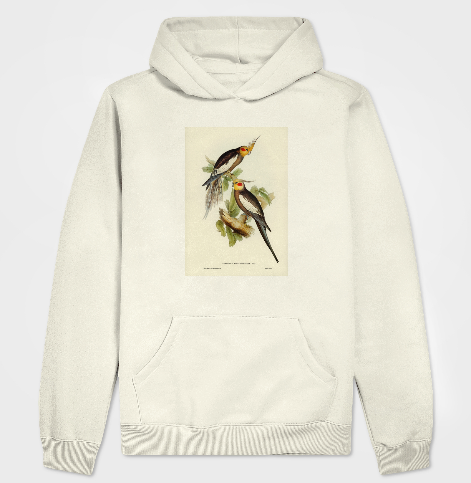 Cockatoo Parakeet