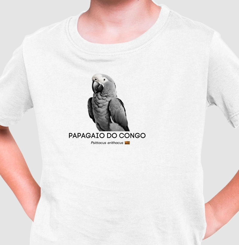Papagaio do Congo III
