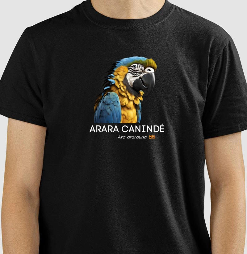 Arara canindé