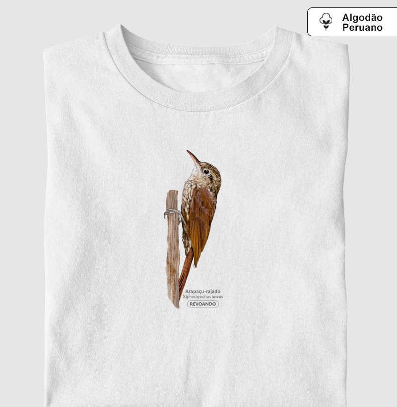 Aves do Brasil - Arapaçu-rajado - Algodão Peruano