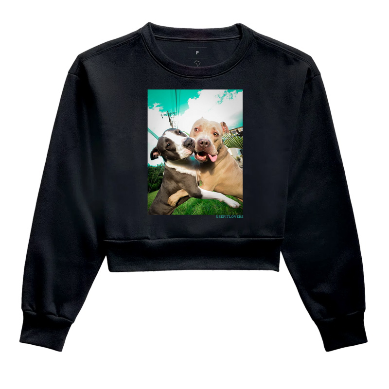 ABRAÇO DE PIT BULL
