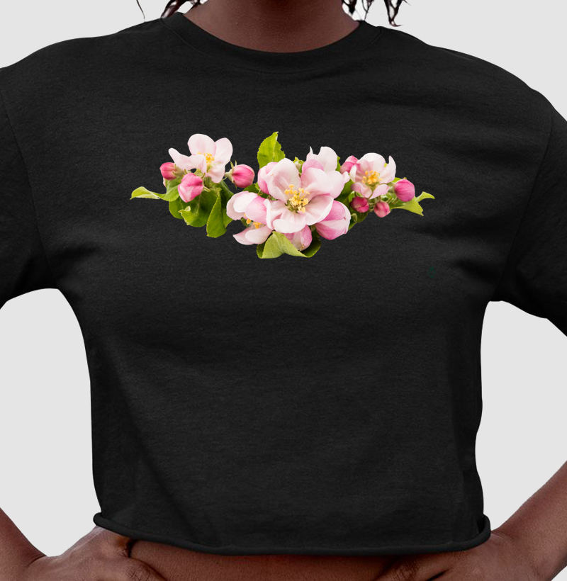 Coleção flores
