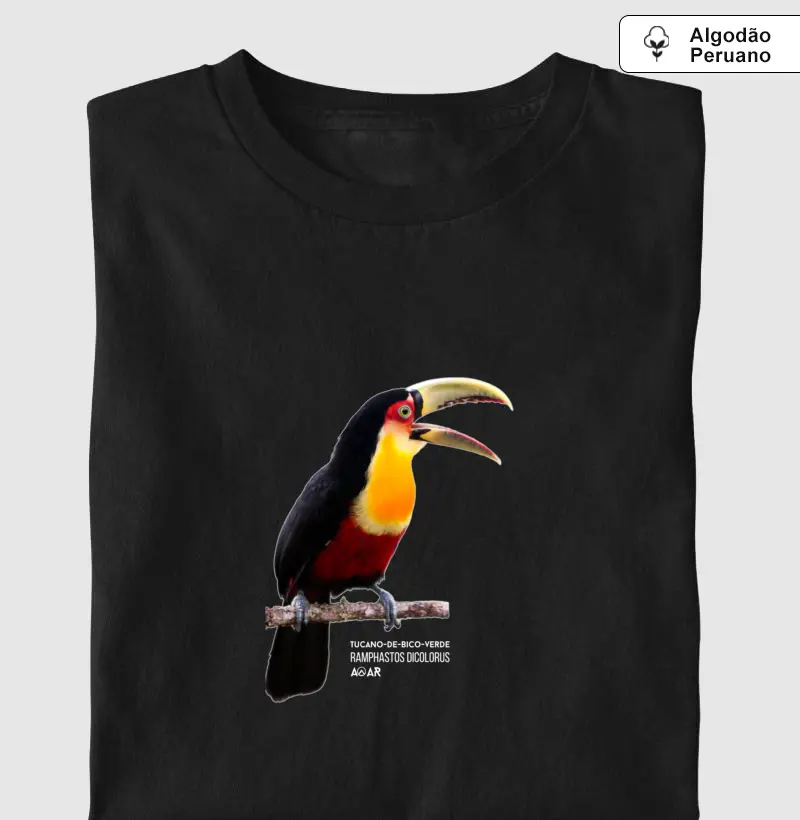 AVE TUCANO-DE-BICO-VERDE