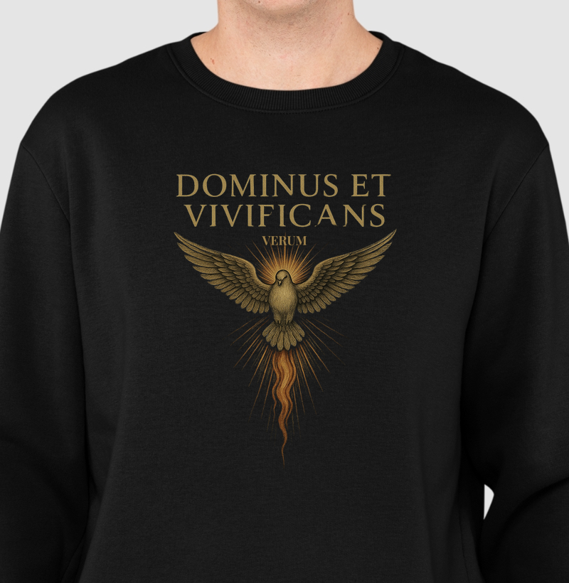 SUÉTER SANCTE SPIRITUS