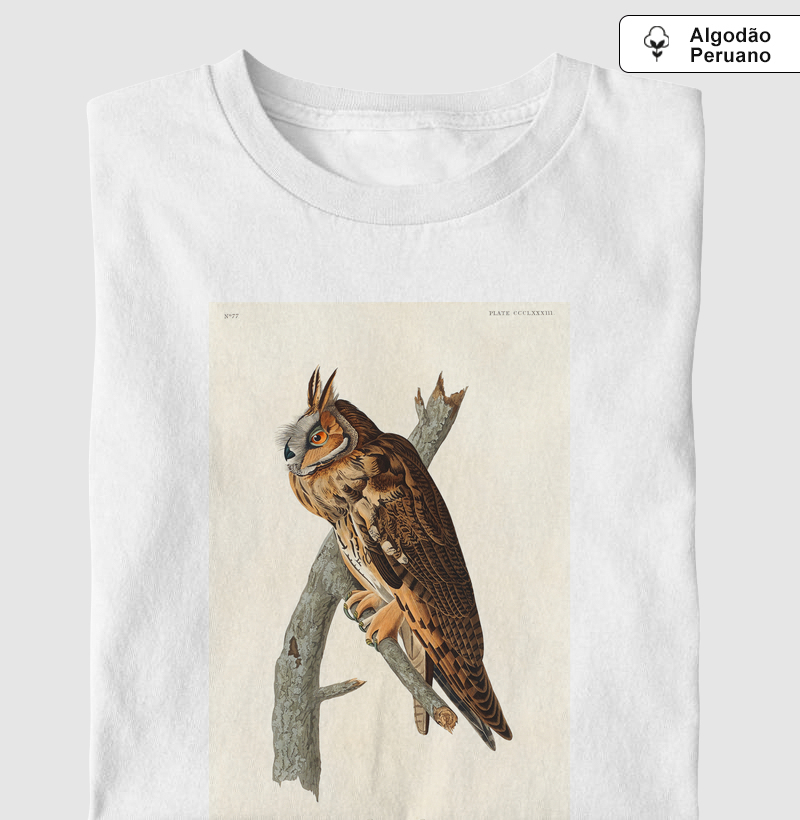 Long-eared Owl