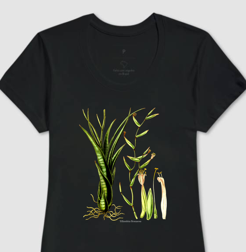 Camiseta Feminina Tillandsia flexuosa
