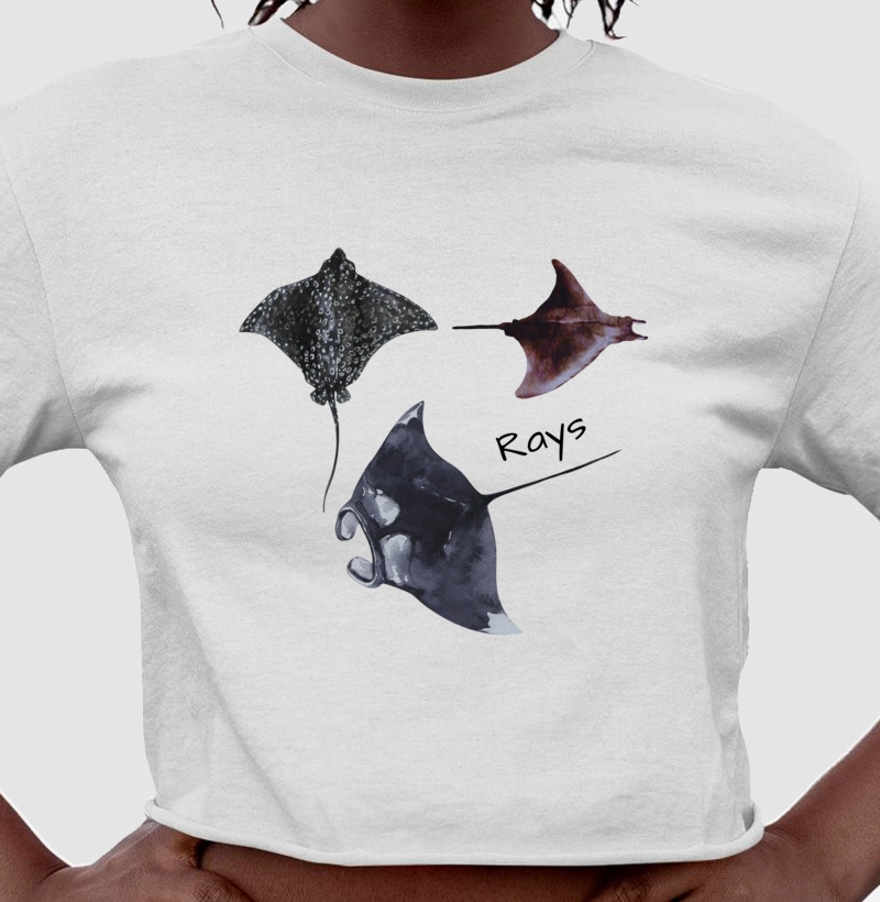Rays