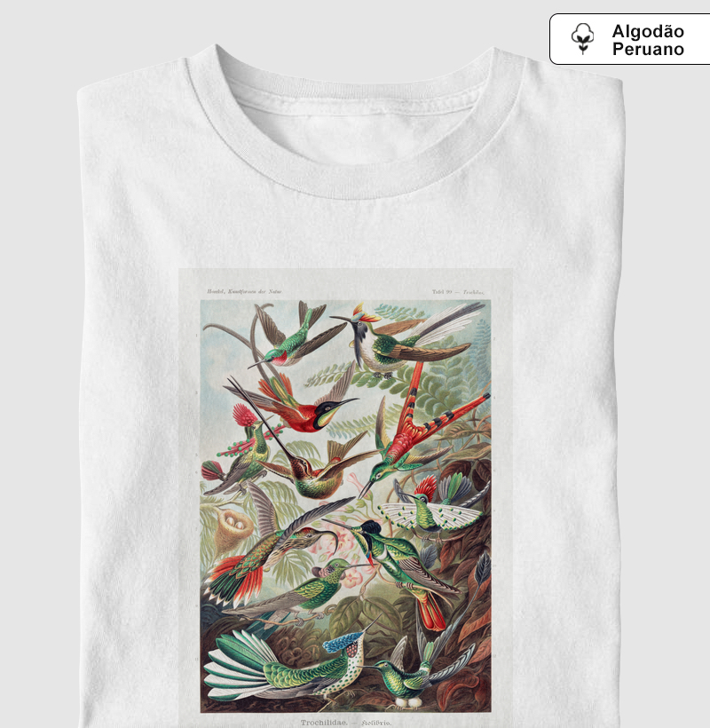 Trochilidae–Kolibris