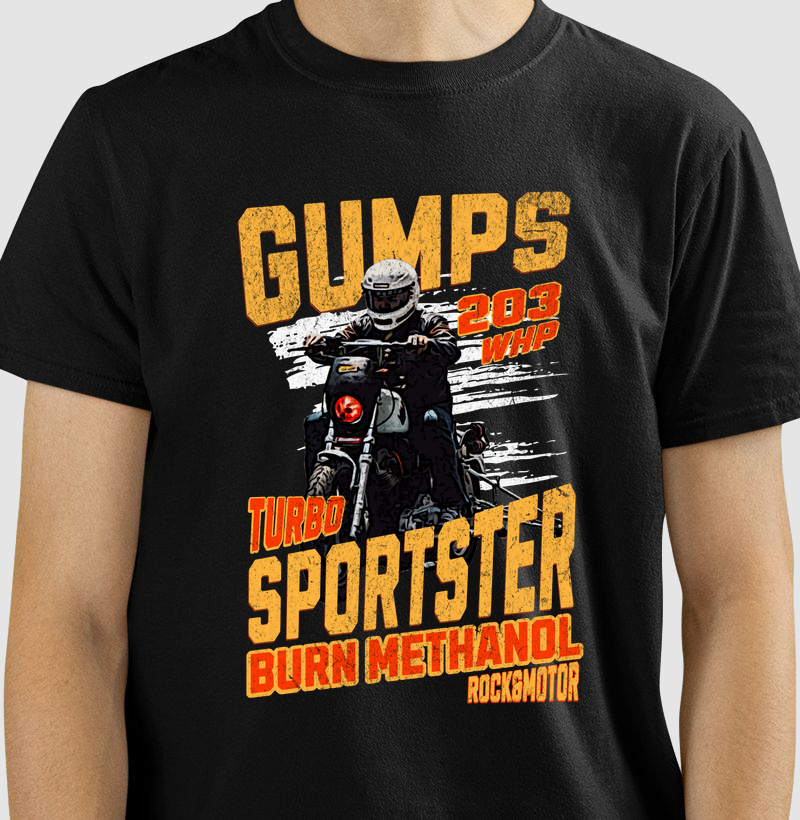 Sportster Turbo