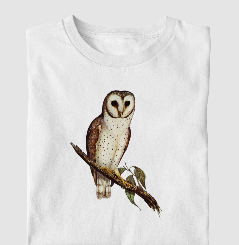 Delicate Owl