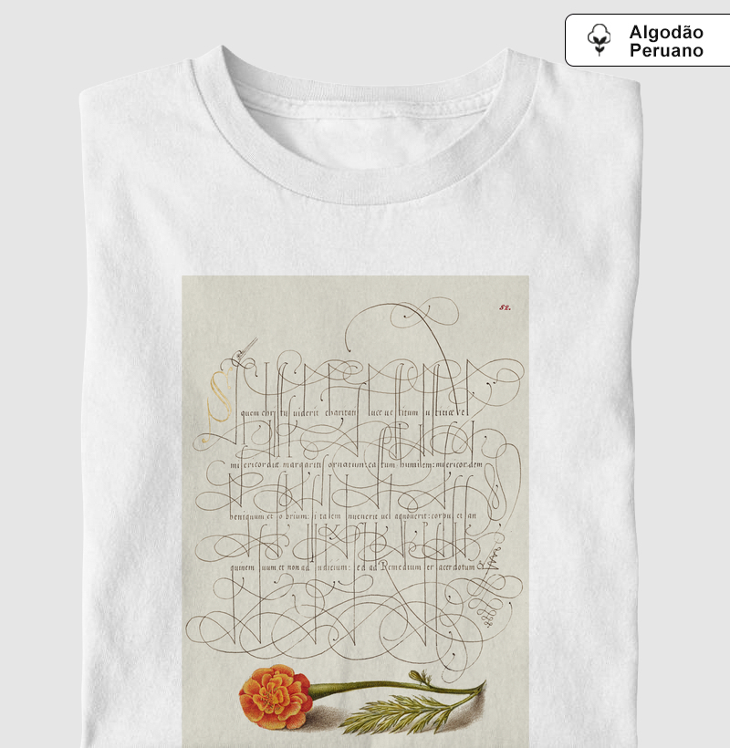 French Marigold