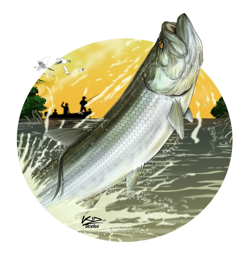 TARPON