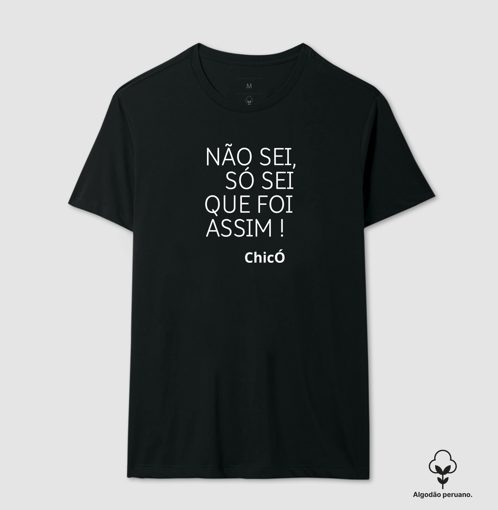 NÃO SEI, SÓ SEI QUE FOI ASSIM! CHICÓ