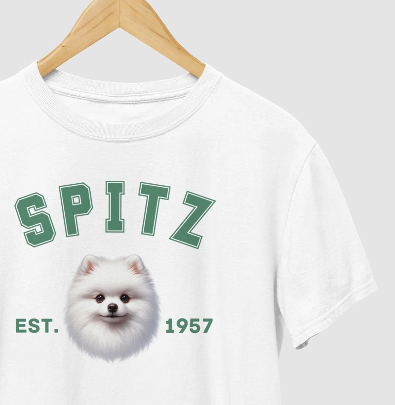 College - Spitz