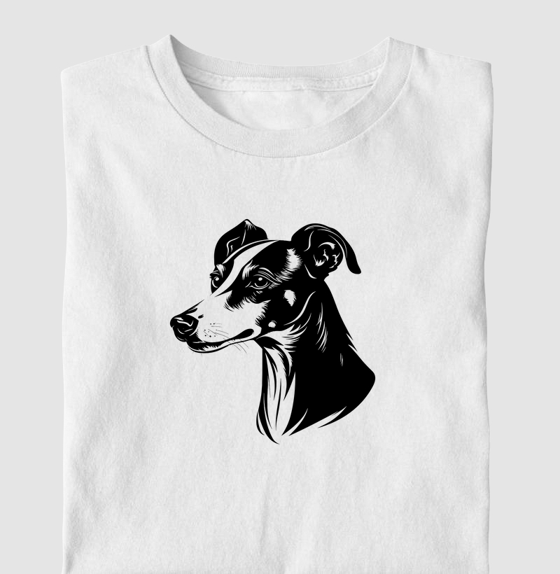 Galgo / Whippet