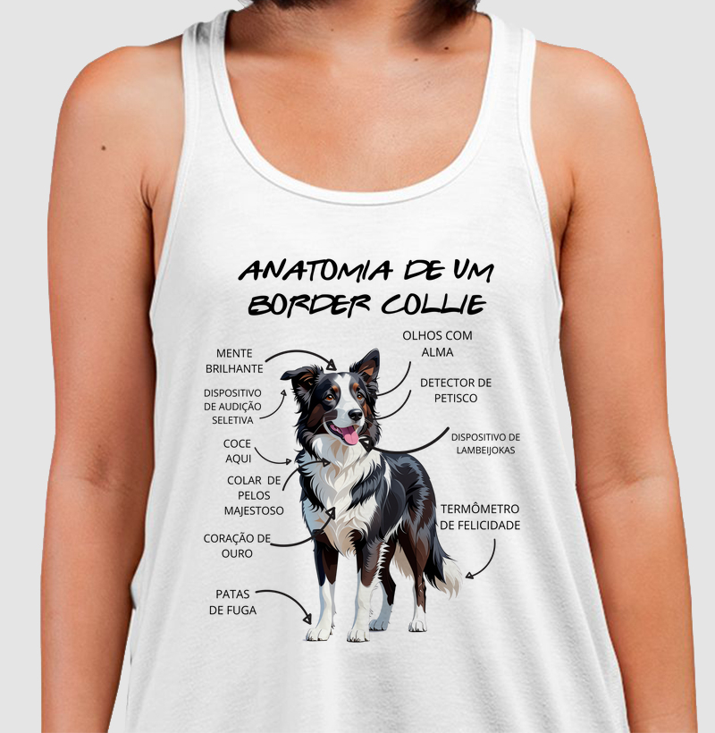 Anatomia de um border collie