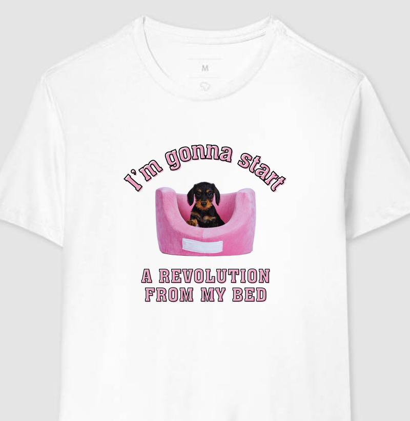“I'm Gonna Start a Revolution From My Bed” — Edição Pet + Rock’n’Roll