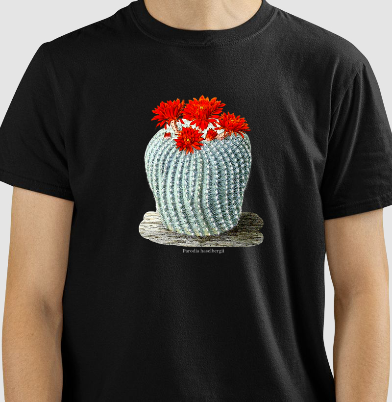 Camiseta Tshirt Parodia haselbergii