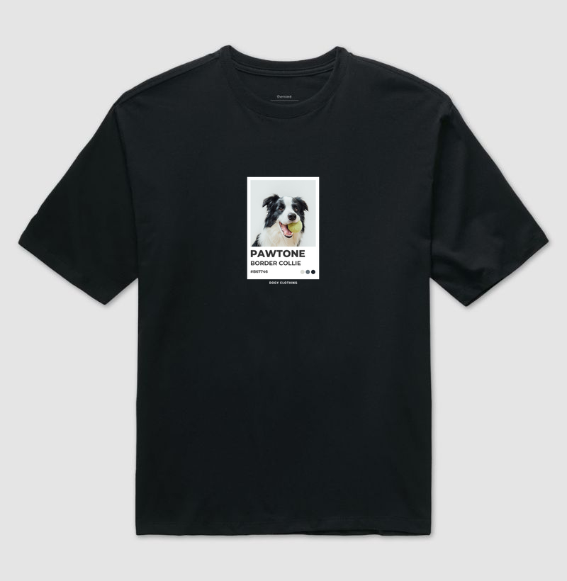 Pawtone Border Collie