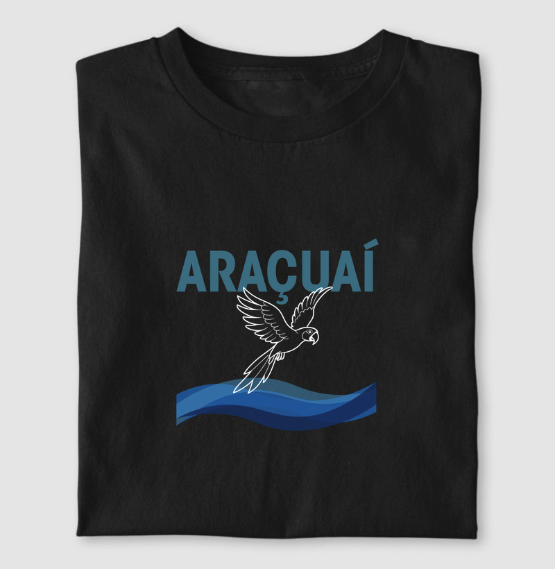 Cidades do Vale | Araçuaí