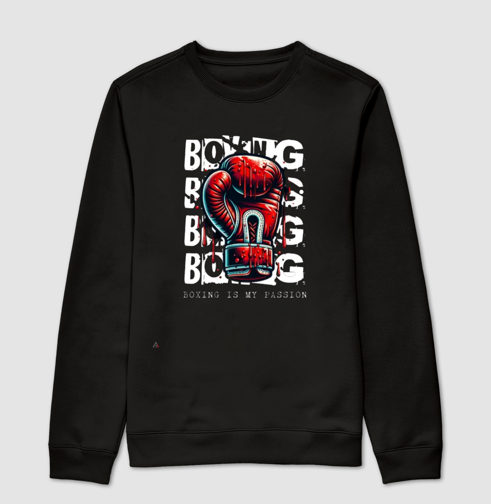 Boxe Minha Paixão