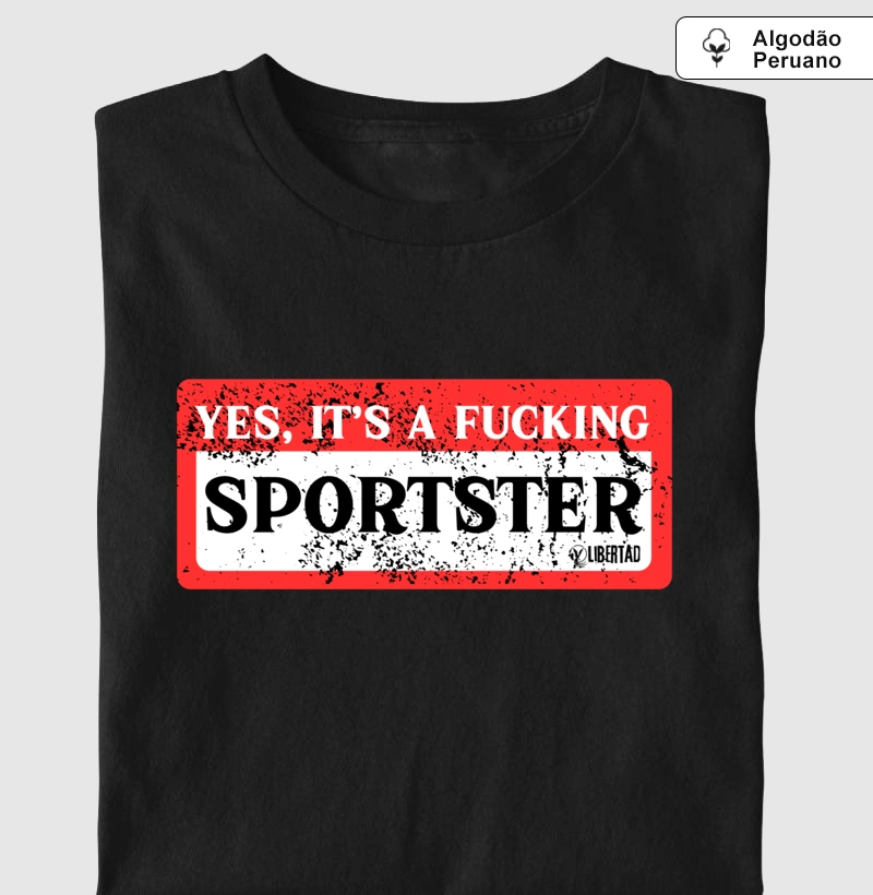 Its a Sportster