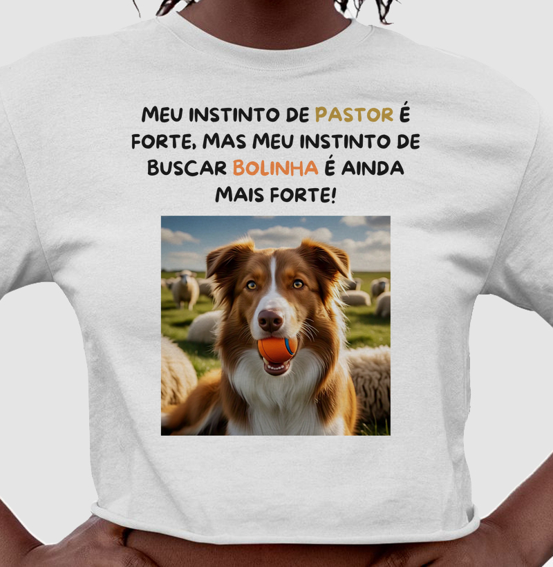 Meu instinto de buscar bolinha é forte